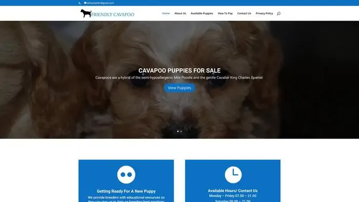 Screenshot of