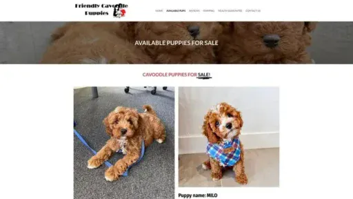 Screenshot of