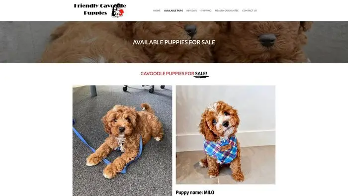 Screenshot of