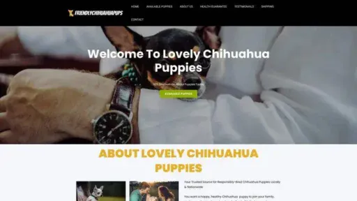 Screenshot of