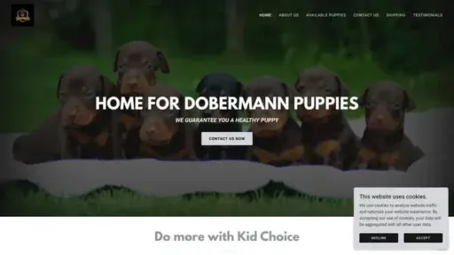 Screenshot of
