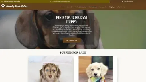 Screenshot of