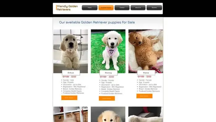 Screenshot of