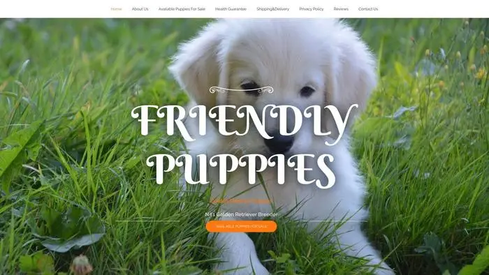 Screenshot of