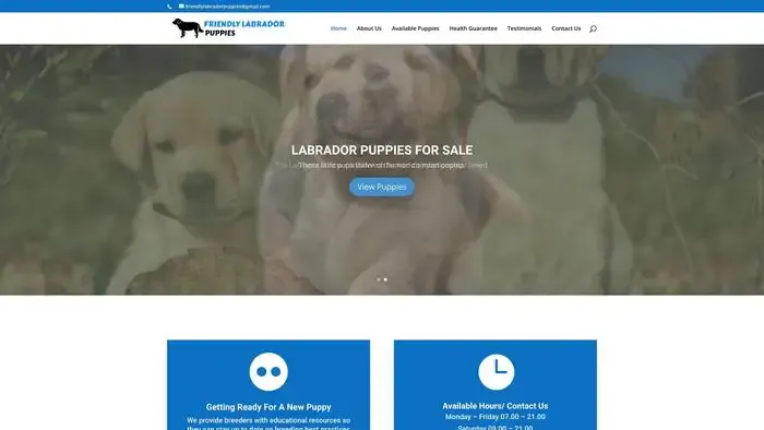 Screenshot of