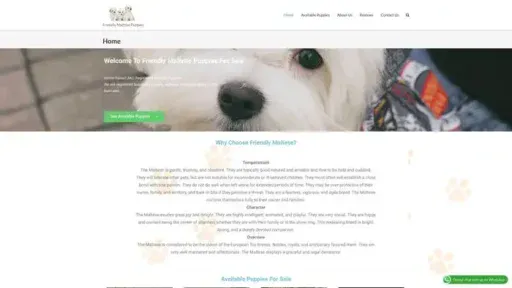 Screenshot of