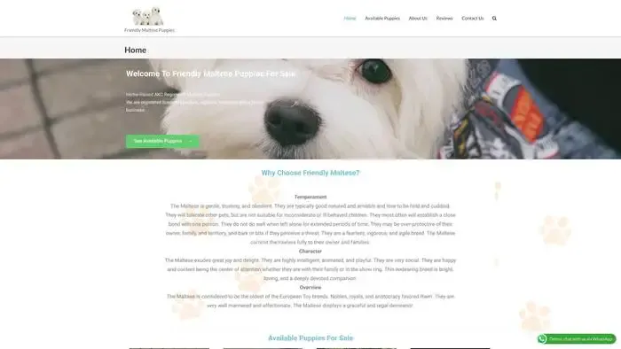 Screenshot of