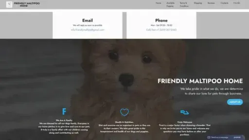 Screenshot of
