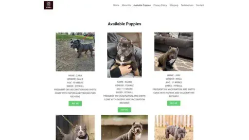 Screenshot of