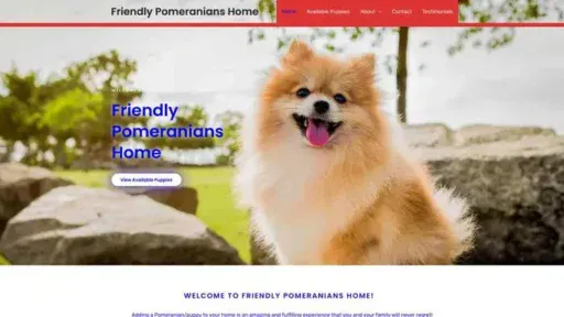 Screenshot of