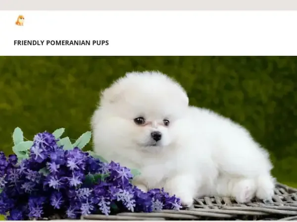 Screenshot of