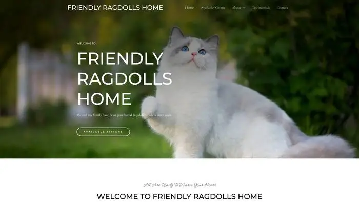 Screenshot of