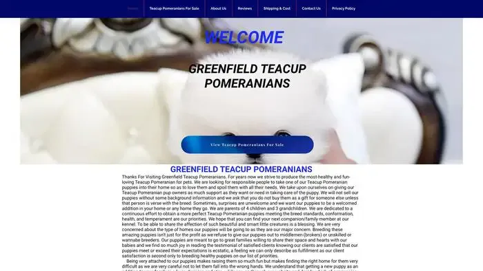 Screenshot of