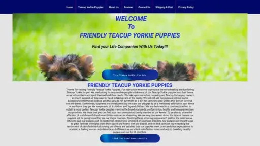 Screenshot of