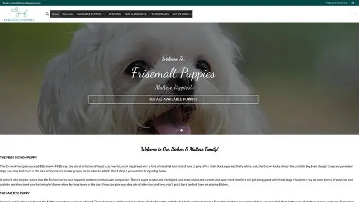 Screenshot of