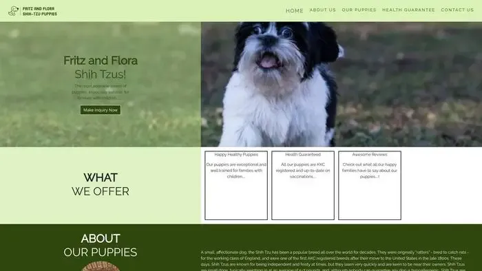 Screenshot of