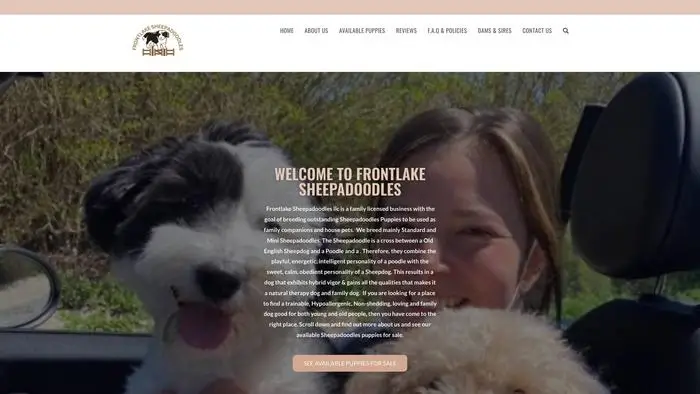 Screenshot of
