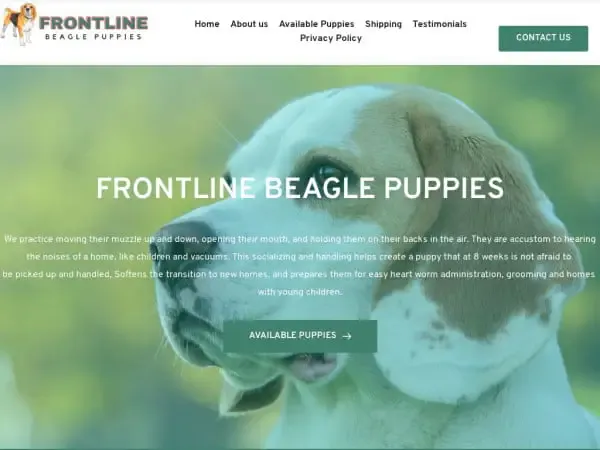 Screenshot of