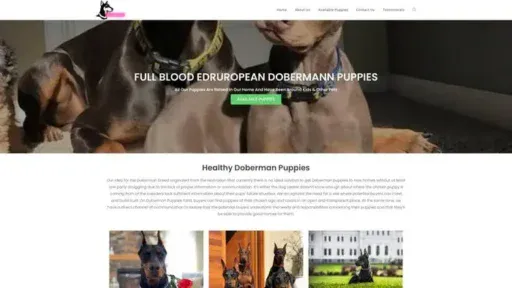 Screenshot of
