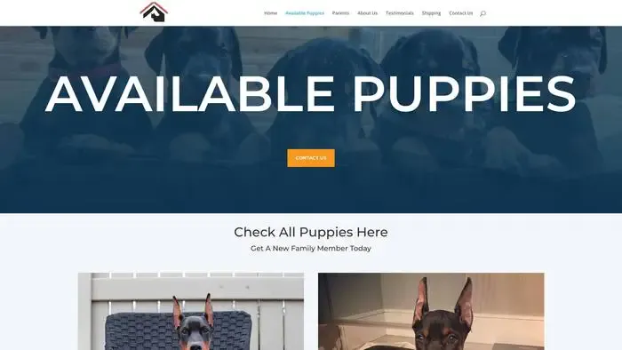 Screenshot of