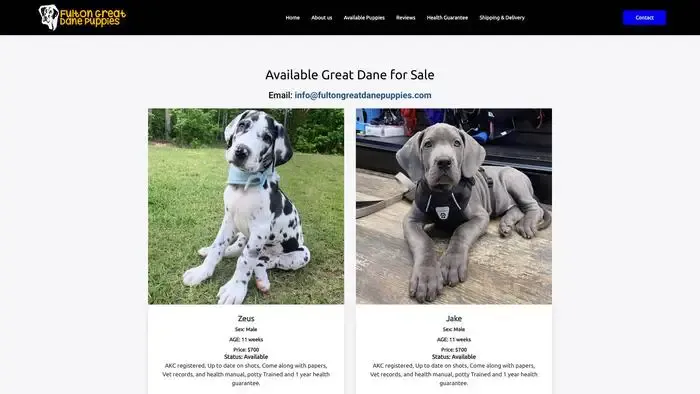 Screenshot of