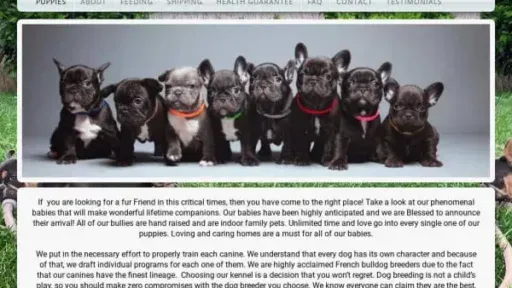 Screenshot of