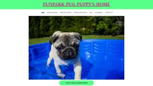 Screenshot of