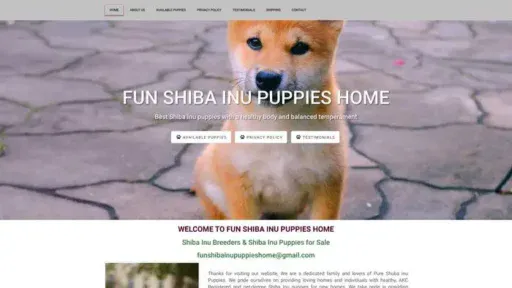 Screenshot of