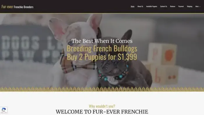 Screenshot of
