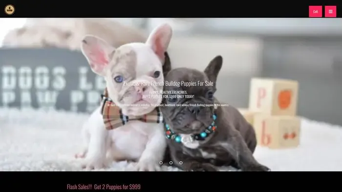 Screenshot of