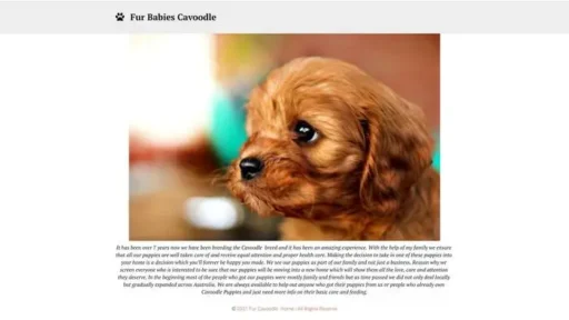 Screenshot of