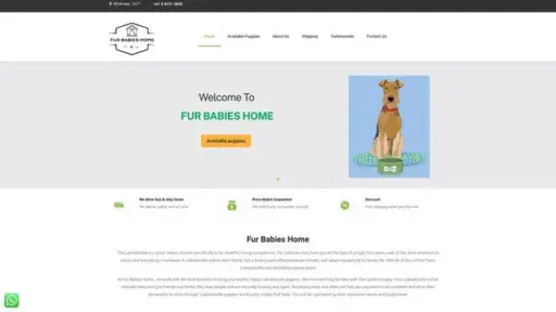 Screenshot of