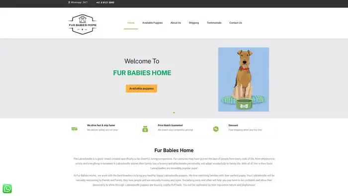 Screenshot of