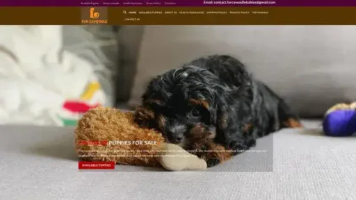 Screenshot of