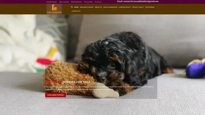 Screenshot of