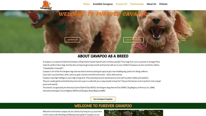 Screenshot of