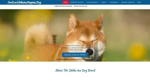 Screenshot of
