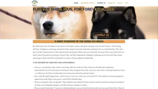 Screenshot of