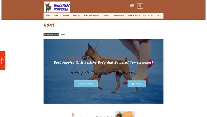 Screenshot of