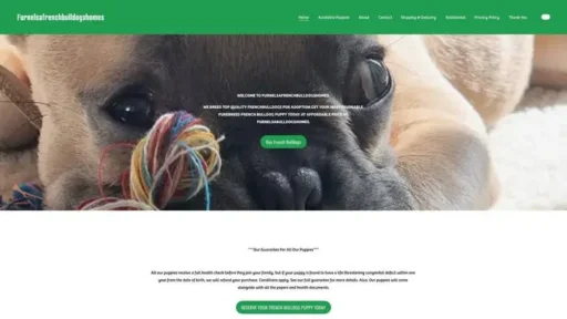 Screenshot of