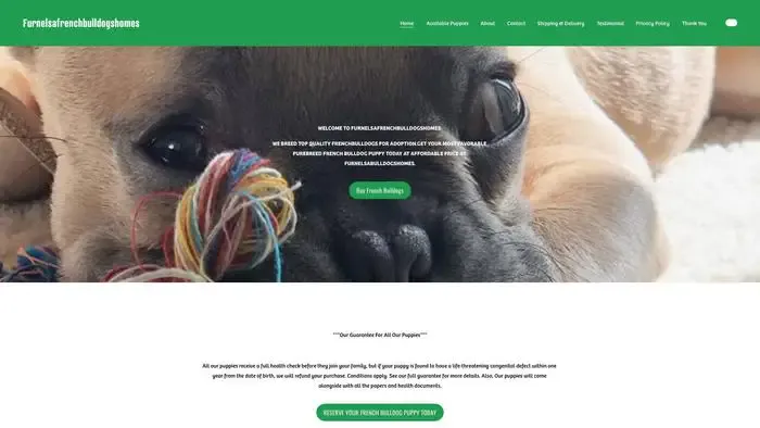 Screenshot of