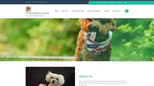 Screenshot of
