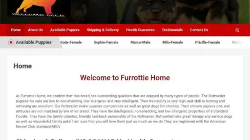 Screenshot of