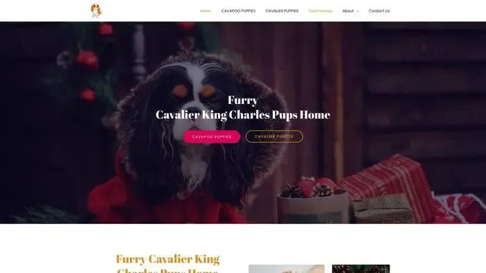 Screenshot of