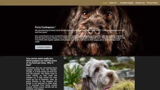 Screenshot of