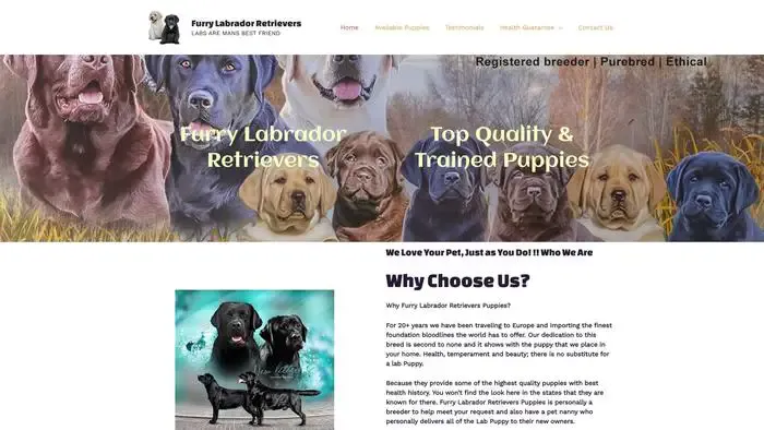 Screenshot of