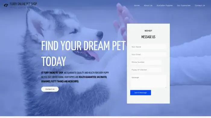 Screenshot of