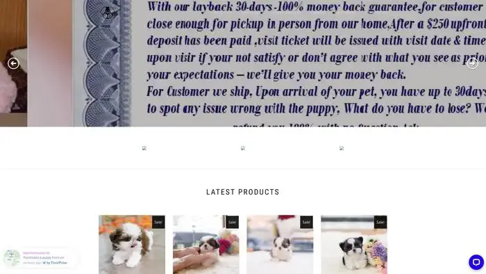 Screenshot of