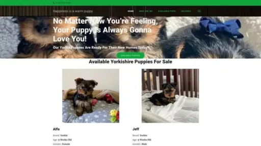 Screenshot of