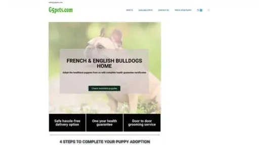 Screenshot of